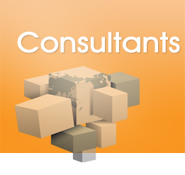 consultants